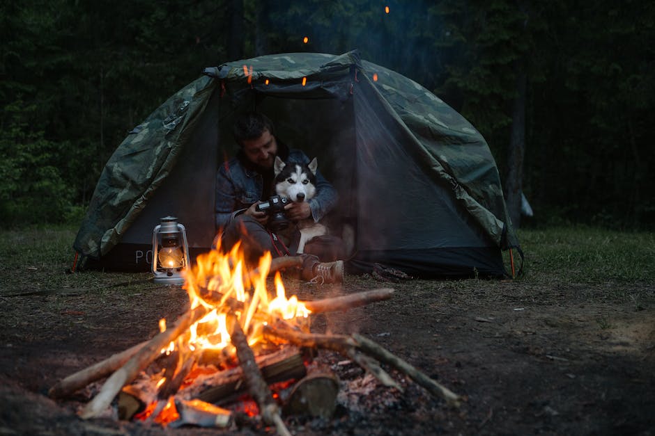 how-to-keep-your-dog-safe-while-camping
