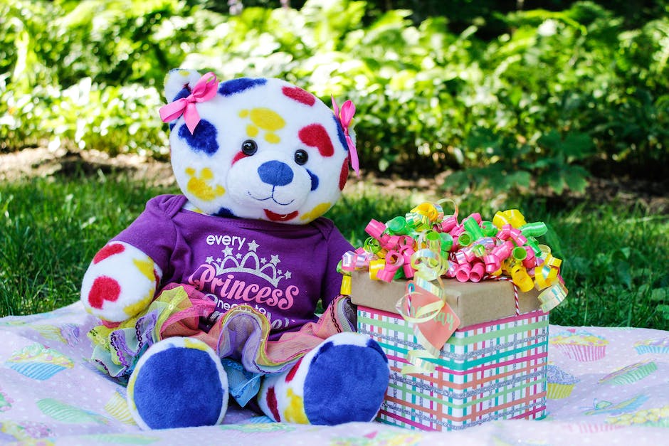 what-is-a-bear-box-for-camping