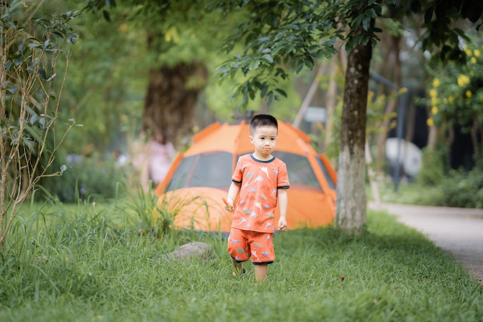 baby in a crib inside a tent
